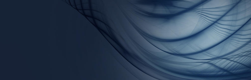 CIO Trend Report 2017 preview picture