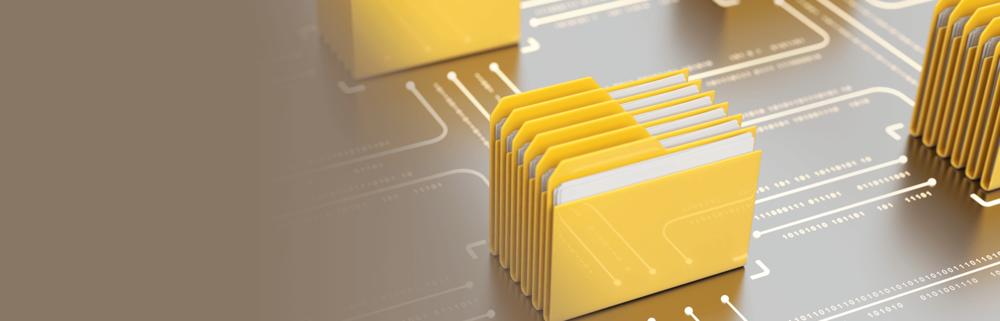 Build a Platform-Based Organization preview picture