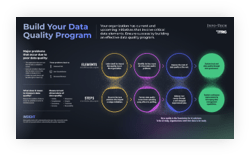 Sample of the Build Your Data Quality Program blueprint.